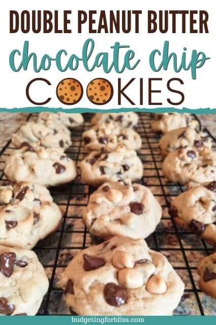 Double Peanut Butter Chocolate Chip Cookie Recipe