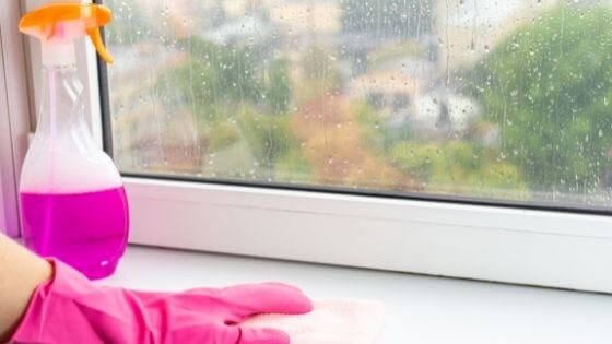 woman cleaning the window with pink cleaner and cleaning gloves