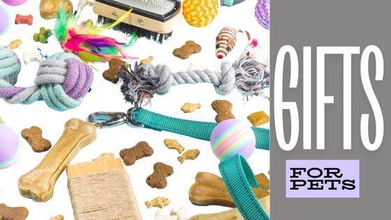 dog and cat toys for Christmas