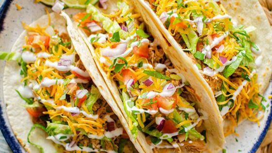 Slow cooked chicken tacos on white plate