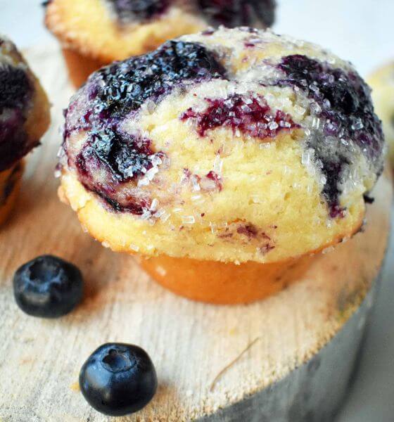 blueberry muffin with blueberries on side