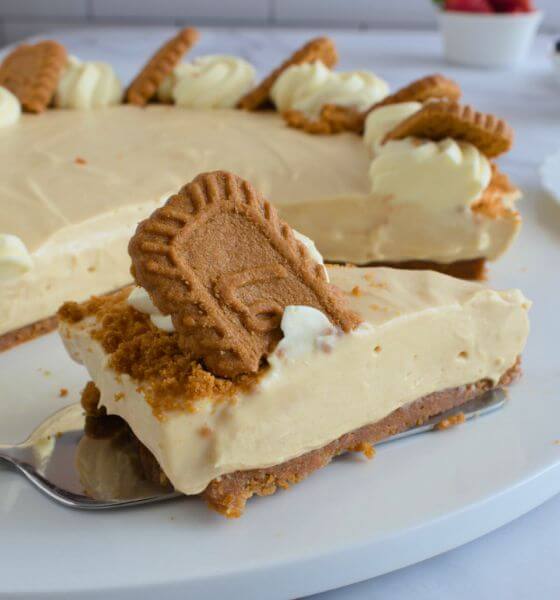 Biscoff Cheesecake on white plate