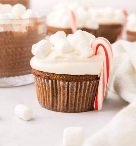 Hot chocolate cupcake with vanilla frosting and mini marshmallows and candy cane on the top