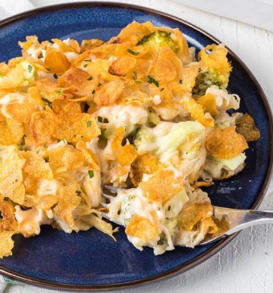 Chicken broccoli casserole on a white plate