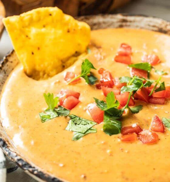 Queso dip in a speckled brown bowl with tomatoes on top with a tortilla chip