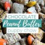 Puppy Chow Recipe with M&Ms