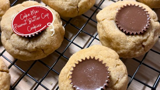 close up peanut butter cup cookies