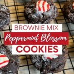 Chocolate brownie cookies with peppermint kiss on baking grate
