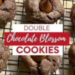 Fudgy Chocolate Blossom Cookies