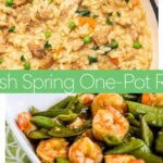 A collection of easy one-pot recipes for spring