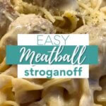 meatball stroganoff close up