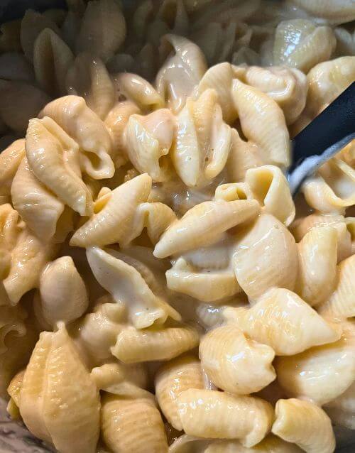 Shells in cheese made in the Instant Pot