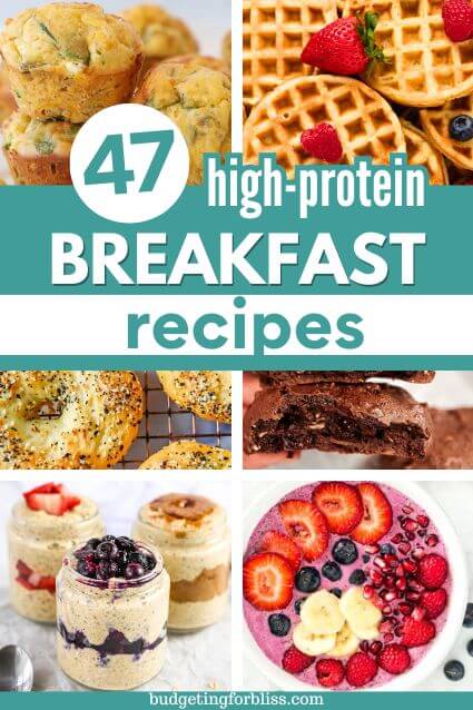 Collection of high protein breakfast ideas
