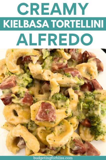 Tortellini, kielbasa and cheese on white plate