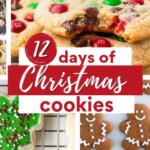 12 Days of Christmas Cookie ideas