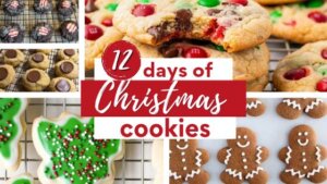 12 Days of Christmas Cookie ideas