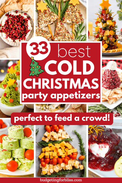 cold Christmas appetizer ideas